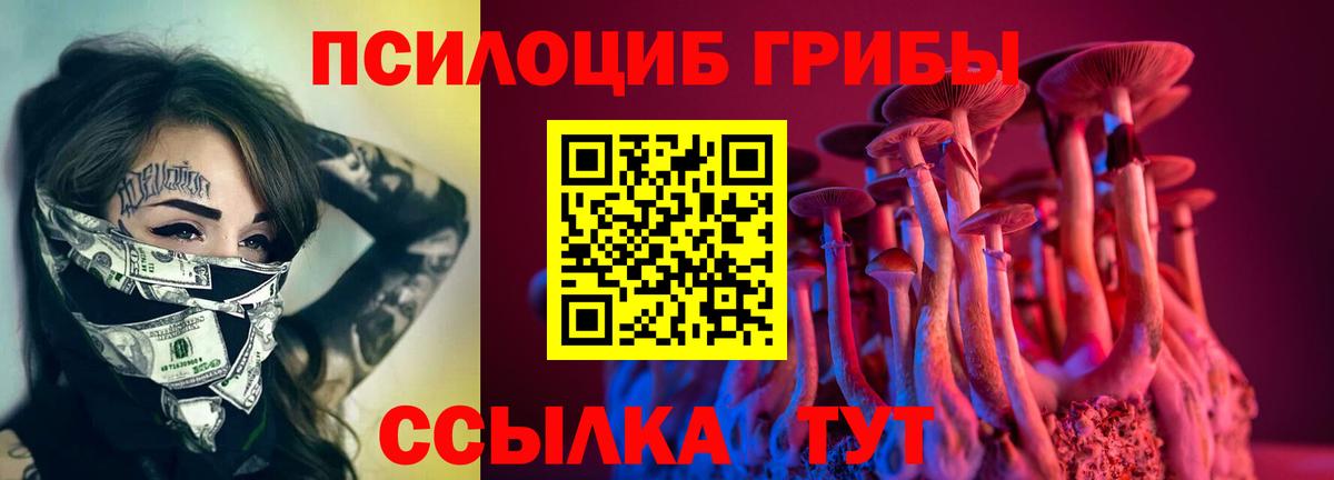 купить наркотики цена  Вход с VPN  Кушва  Галлюциногенные грибы Cubensis 
